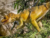Επιστήμονας Απολύθηκε αφού Ανακάλυψε Κόκαλα Δεινόσαυρου 4.000 ετών!!!