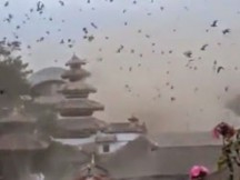 ΑΠΟΚΟΣΜΟ ΒΙΝΤΕΟ ΤΗ ΣΤΙΓΜΗ ΤΗΣ ΙΣΧΥΡΟΤΑΤΑΣ ΔΟΝΗΣΗΣ ΣΤΟ ΝΕΠΑΛ... ΤΟΥΡΙΣΤΑΣ ΚΑΤΑΓΡΑΦΕΙ ΤΑ ΠΟΥΛΙΑ ΠΟΥ ΜΟΙΑΖΟΥΝ ΣΑ ΝΑ ΕΧΟΥΝ ΤΡΕΛΑΘΕΙ ΚΑΙ ΠΕΤΑΝΕ ΠΡΟΣ ΔΙΑΦΟΡΕΤΙΚΕΣ ΚΑΤΕΥΘΥΝΣΕΙΣ...