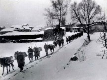 7.976 ΜΑΧΗΤΕΣ ΤΟΥ ΕΛΛΗΝΙΚΟΥ ΣΤΡΑΤΟΥ ΑΠΟΤΕΛΟΥΝ "ΕΘΝΙΚΗ ΕΚΚΡΕΜΟΤΗΤΑ". 7.967 ΠΕΣΟΝΤΕΣ ΤΟΥ '40 ΖΗΤΟΥΝ ΔΙΚΑΙΩΣΗ! 7.967 ΑΤΑΦΟΙ ΣΤΑ ΒΟΥΝΑ ΤΗΣ ΑΛΒΑΝΙΑΣ ΖΗΤΟΥΝ ΑΝΑΠΑΥΣΗ! 7.967 ΕΛΛΗΝΕΣ ΕΔΩ ΚΑΙ 74 ΧΡΟΝΙΑ ΖΗΤΑΝΕ ΤΑ ΧΩΜΑΤΑ ΤΟΥΣ... ΓΙΑ ΠΟΙΑ ΕΝΤΑΞΗ ΤΗΣ ΑΛΒΑΝΙΑΣ ΣΤΗΝ ΕΕ ΣΥΖΗΤΑΝΕ ΟΡΙΣΜΕΝΟΙ, ΕΦΟΣΟΝ ΥΠΑΡΧΕΙ 