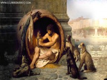Η ξεχωριστή σχέση των αρχαίων Ελλήνων με τον σκύλο