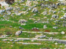 Υπήρχε Ηλεκτρισμός στην Αρχαία Ελλάδα; Για δείτε αυτό…