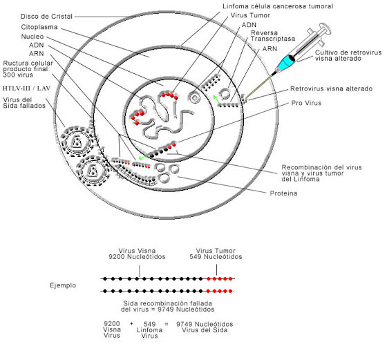 amerikaniki-istoria-peiramatismon-se-anthropoys-4.jpg