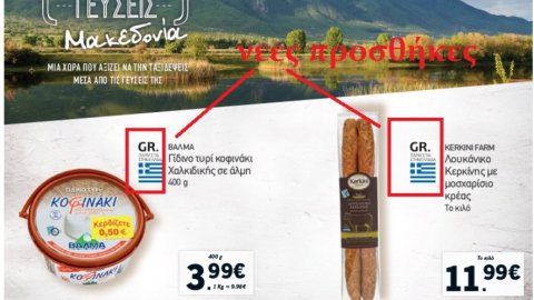 argolida-minusi-sta-lidl-gia-alloiosi-tou-ethnikou-mas-sumbolou